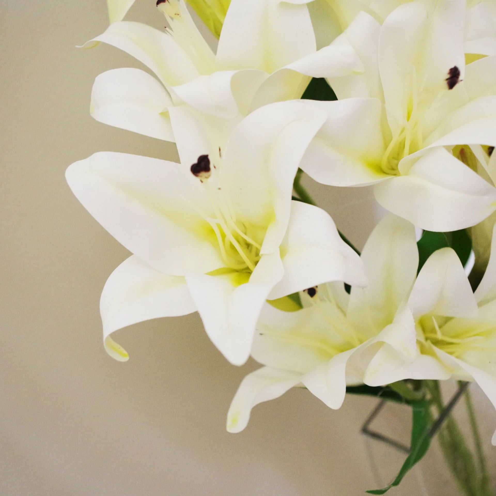 60cm Artificial Lily Stem White - Image 4