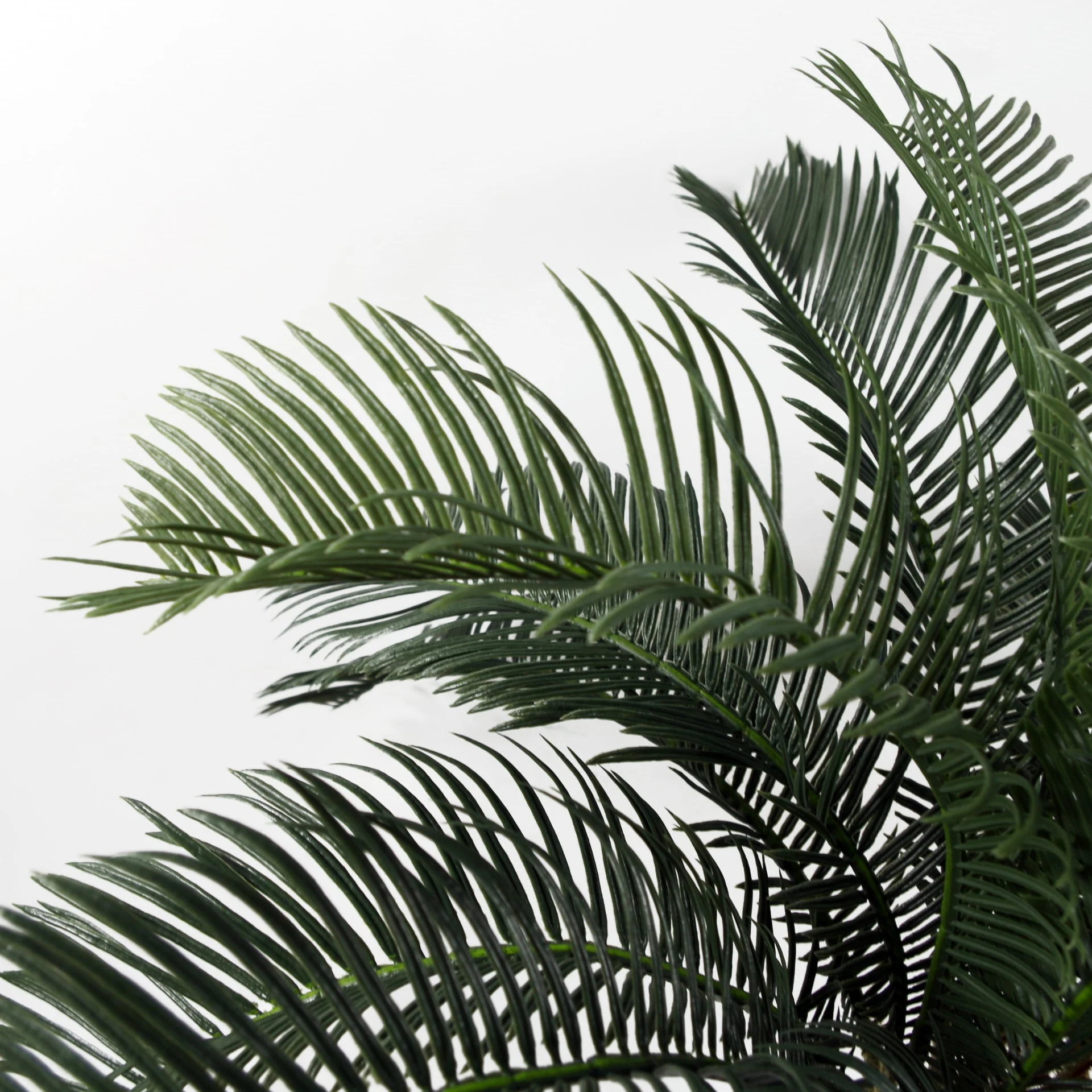 60cm Artificial Tropical Cycas Palm Plant - Image 2