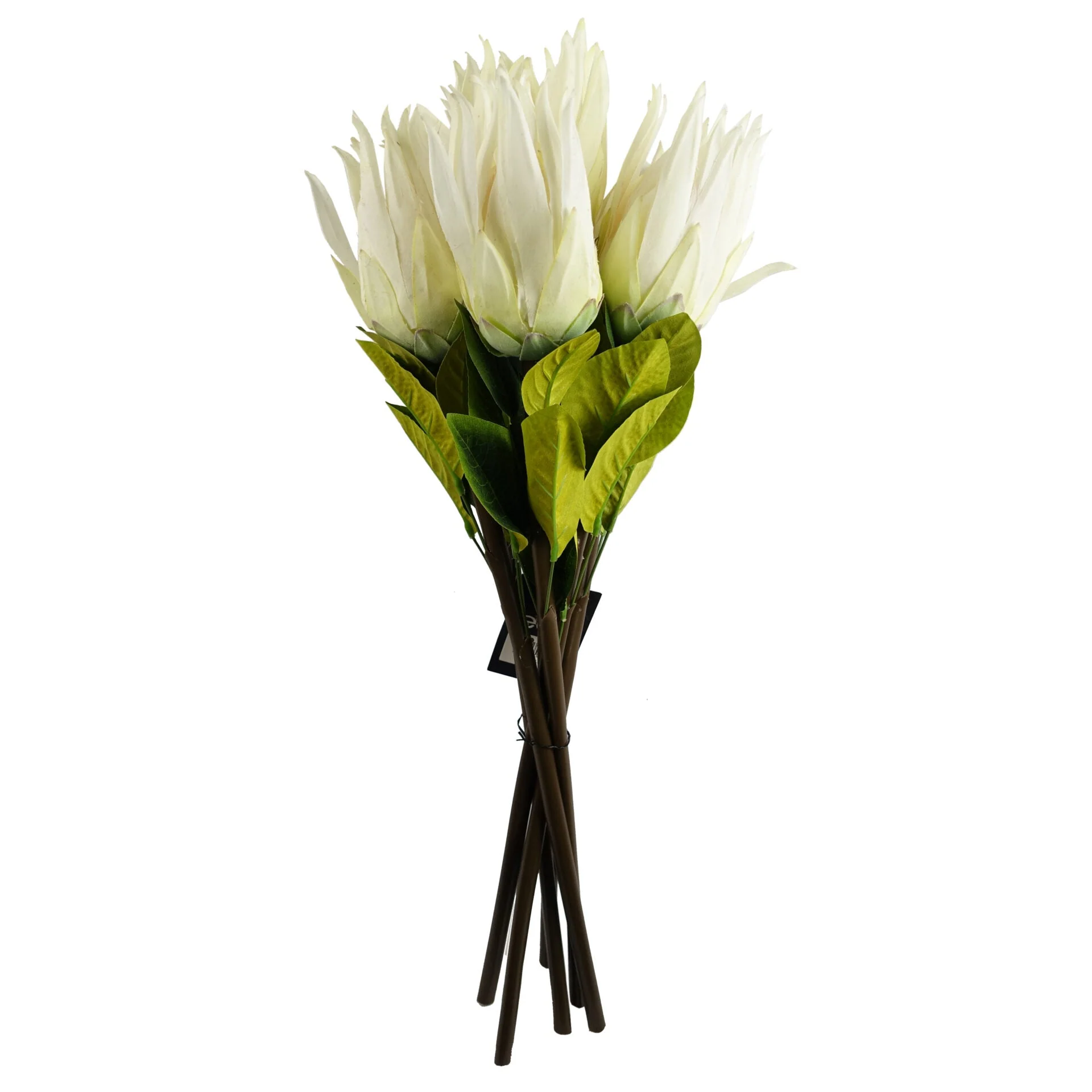 65cm Protea Sugarbush Flower Stem - White - Image 4