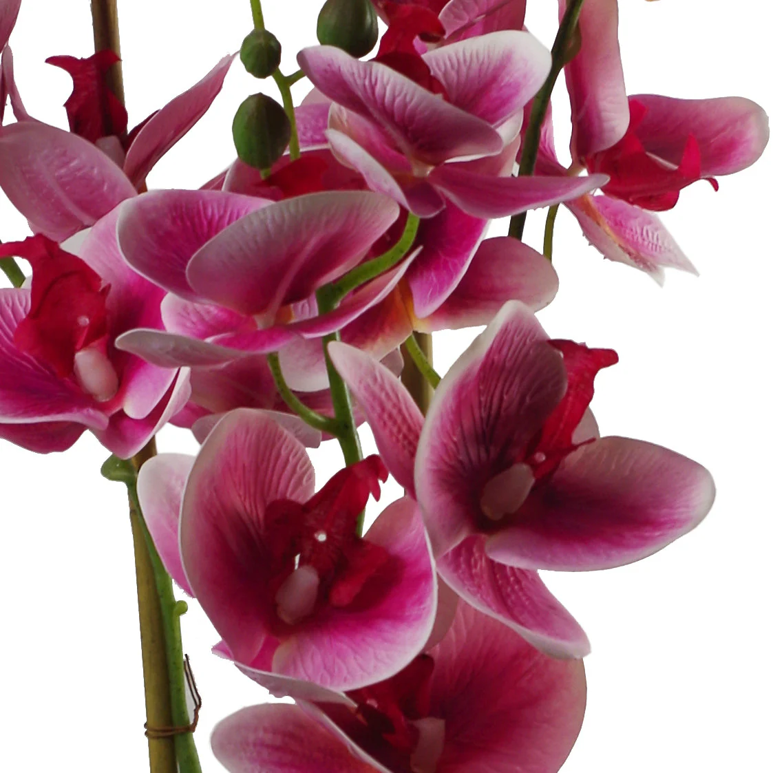 70cm Artificial Orchid Dark Pink with Black Ceramic Planter - Image 3