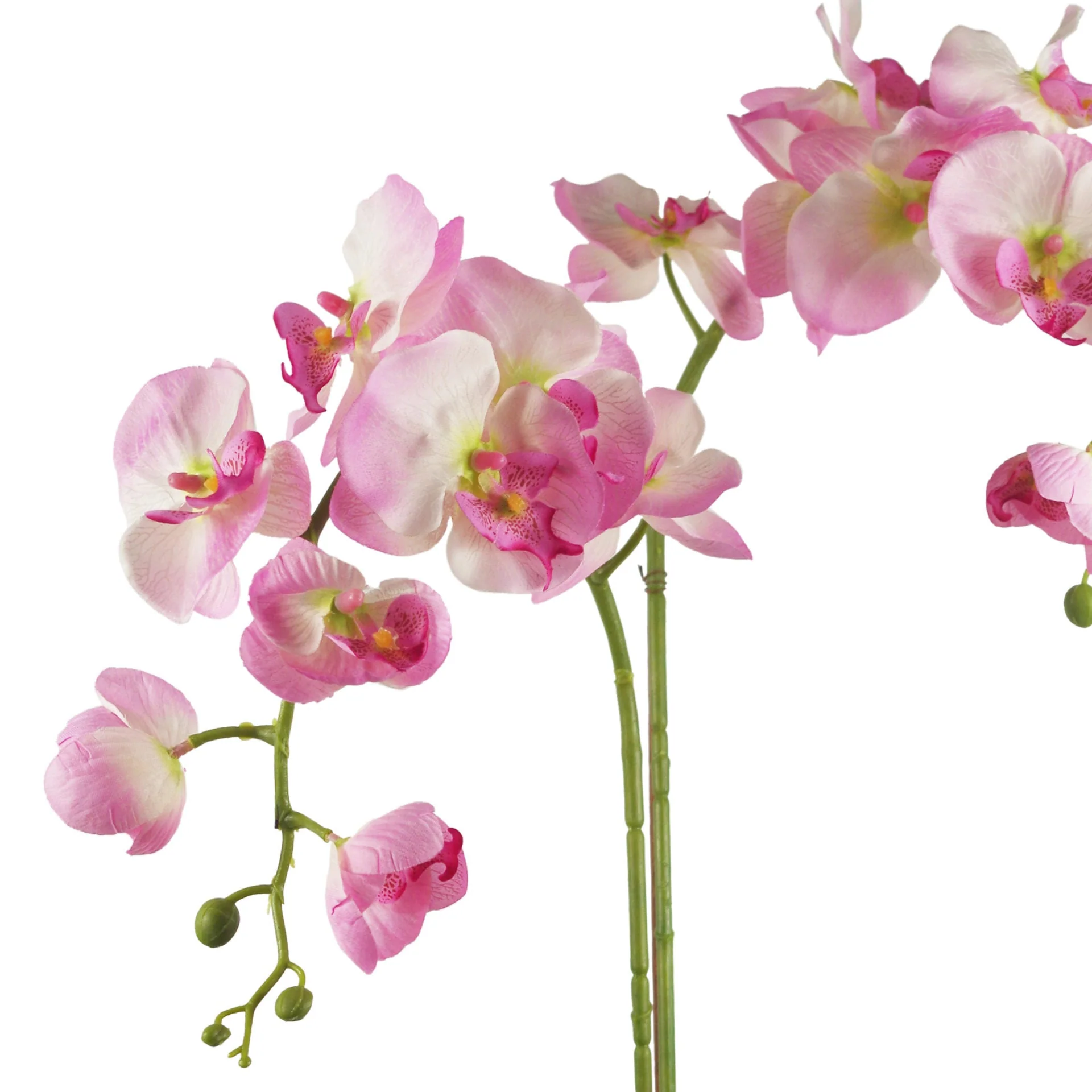70cm Artificial Orchid Light Pink with Gold Dish Ceramic Planter - Image 3