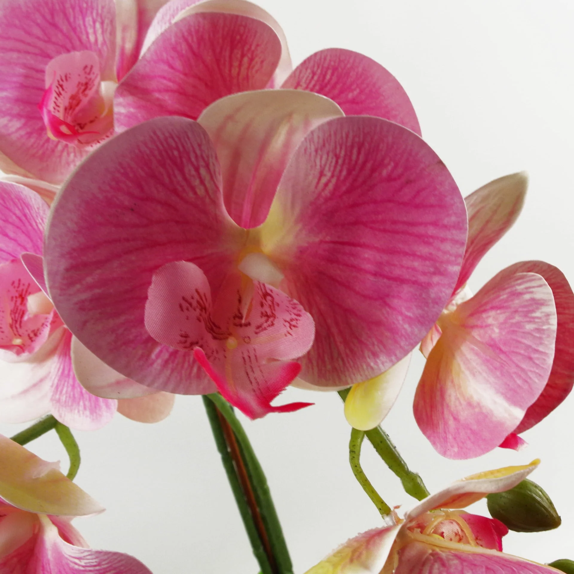 70cm Artificial Orchid Light Pink with Silver Ceramic Planter - Image 2