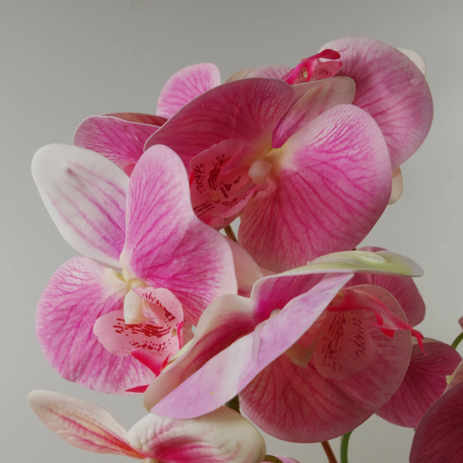 70cm Artificial Orchid Light Pink with Silver Ceramic Planter - Image 4