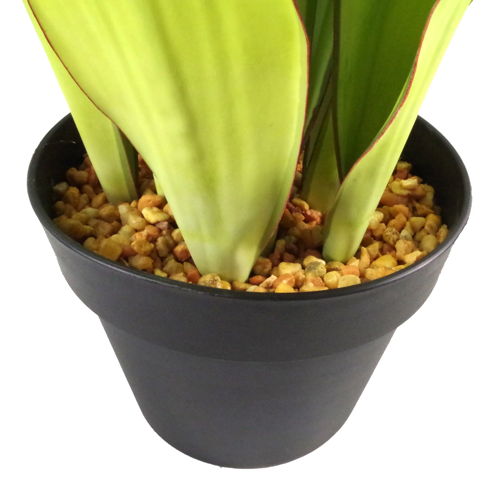 70cm Artificial Sansevieria Moonshine Plant - Image 2