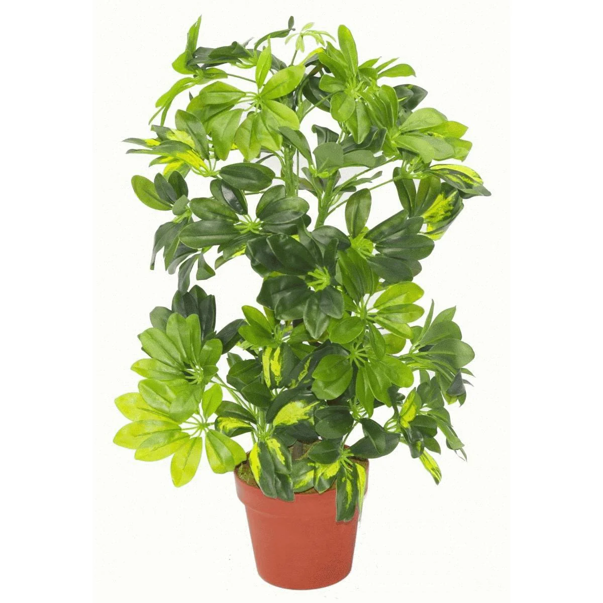 75cm Artificial Arboricola Gold Capella Plant - Gold Metal Planter - Image 2