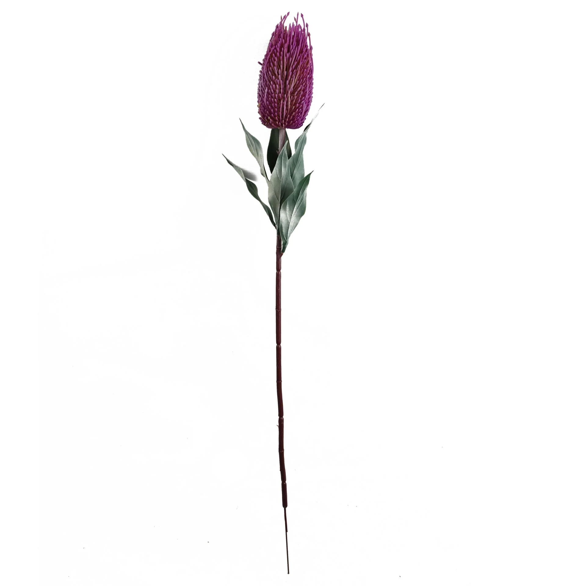 75cm Banksia Menziesii Pink Flower Stem Artificial - Image 2