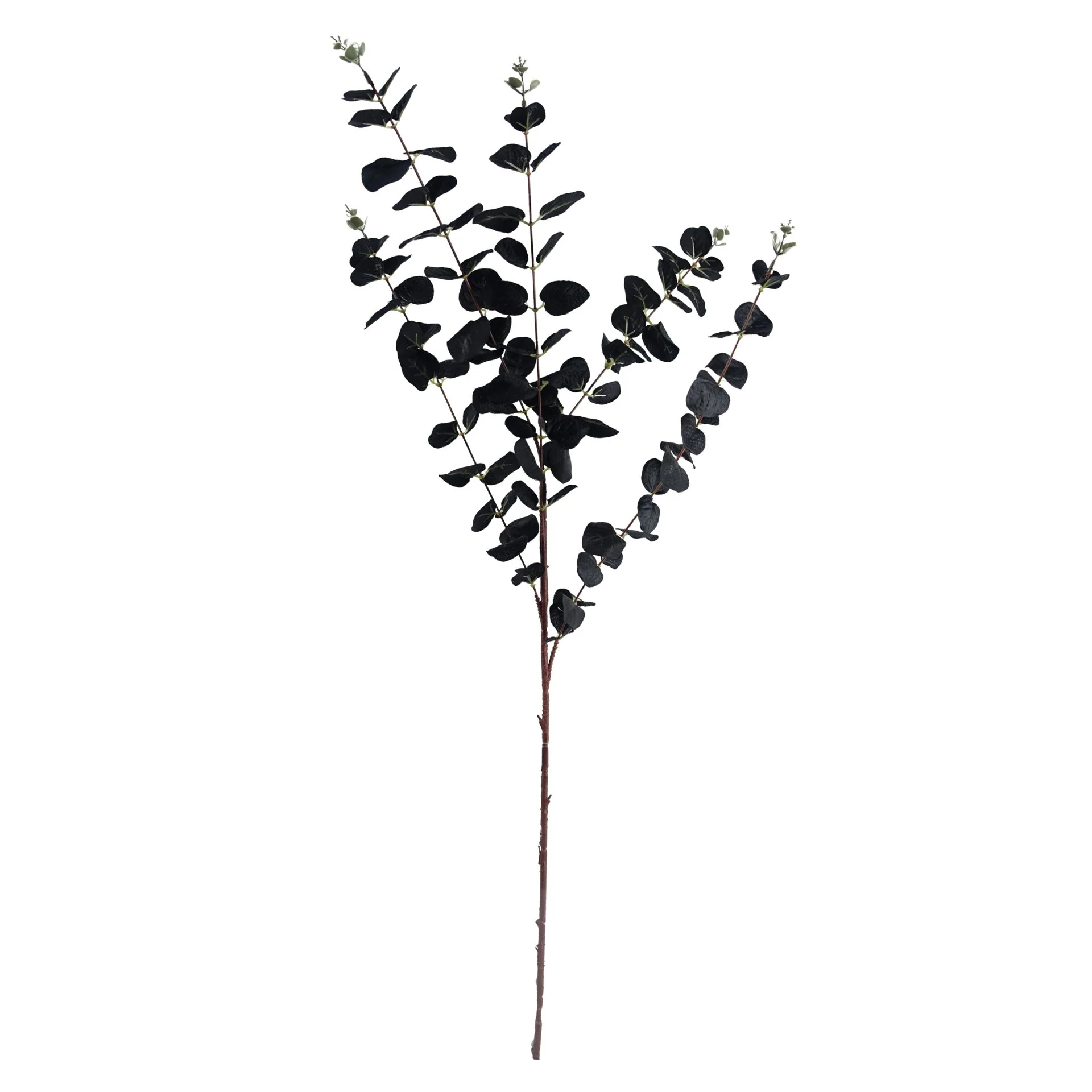 80cm Black Eucalyptus Foliage Stem - Image 2