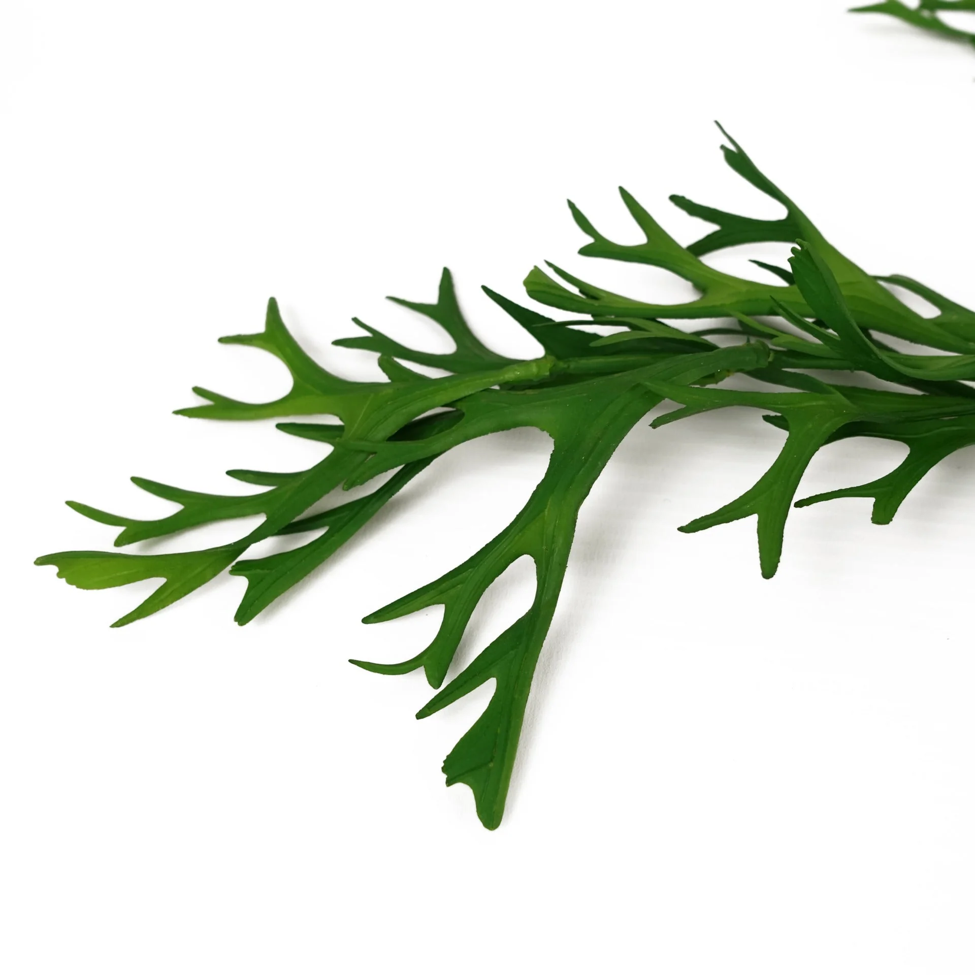 80cm Hanging Artificial Staghorn Fern - Image 2