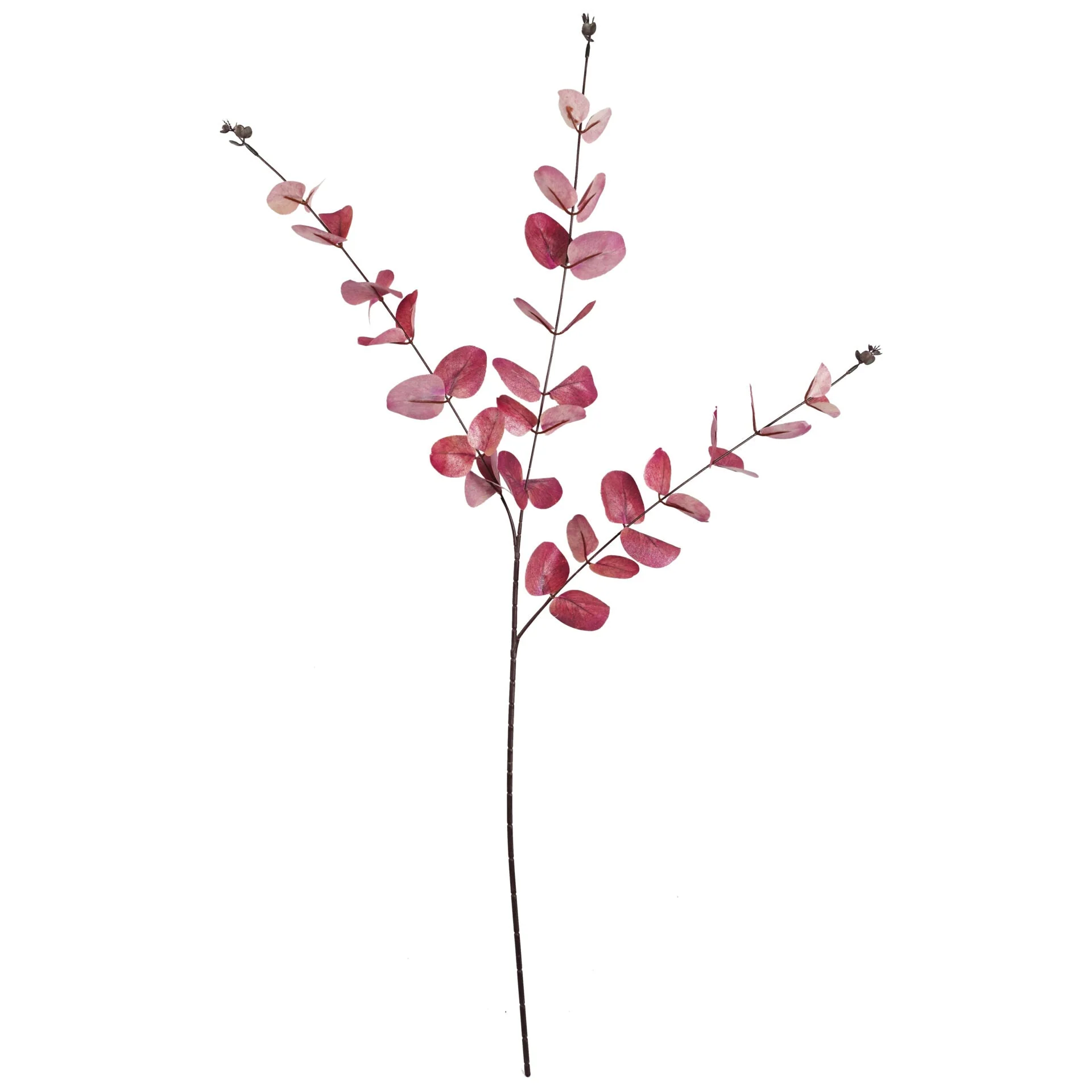 80cm Pink Eucalyptus Foliage Stem - Image 2