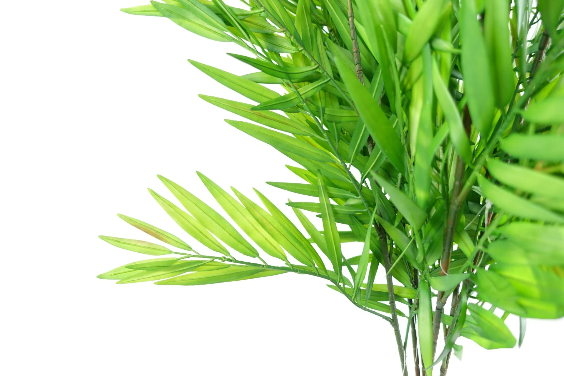 85cm Bamboo Fern Stem - Image 3