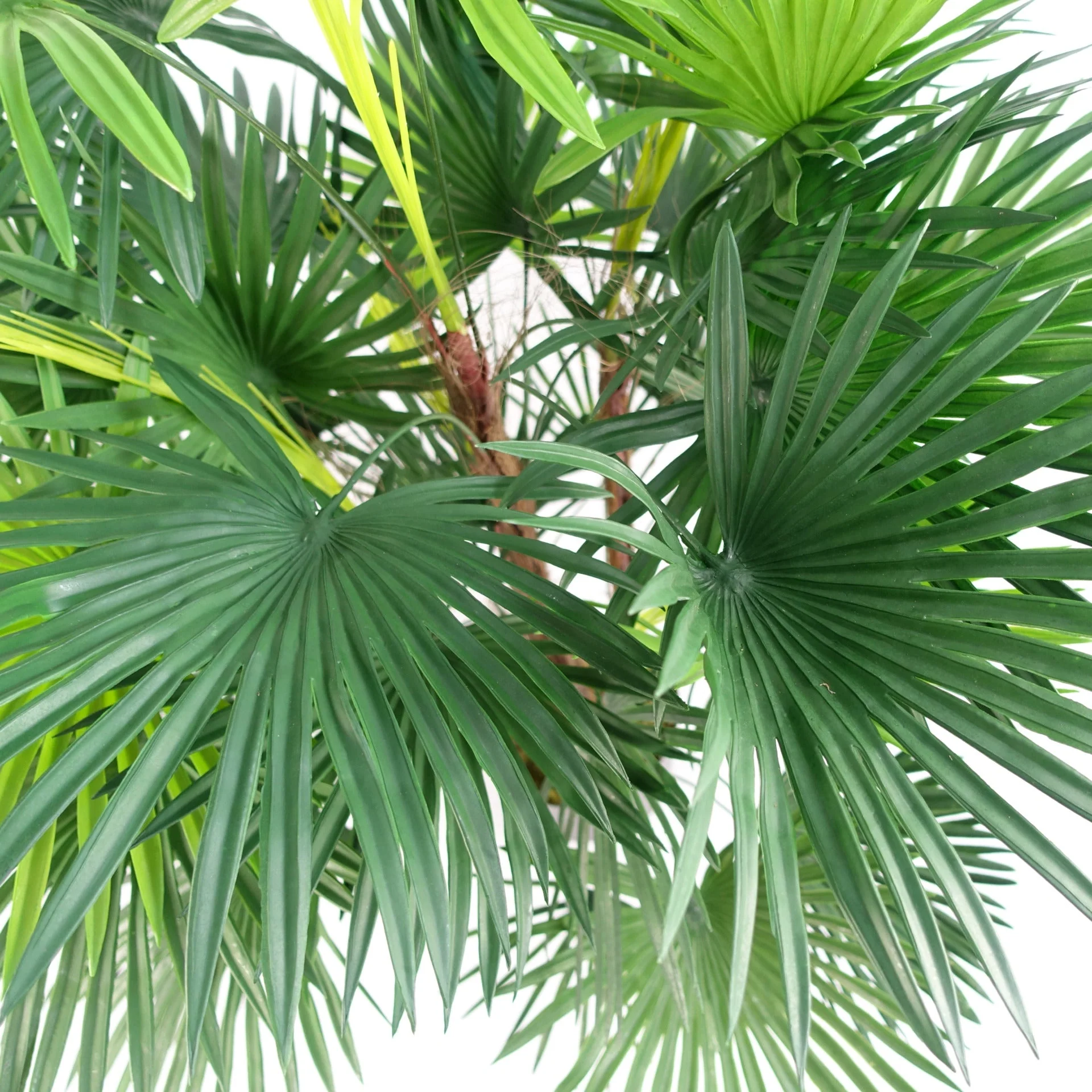 90cm Fan Palm Artificial Tree - Image 2