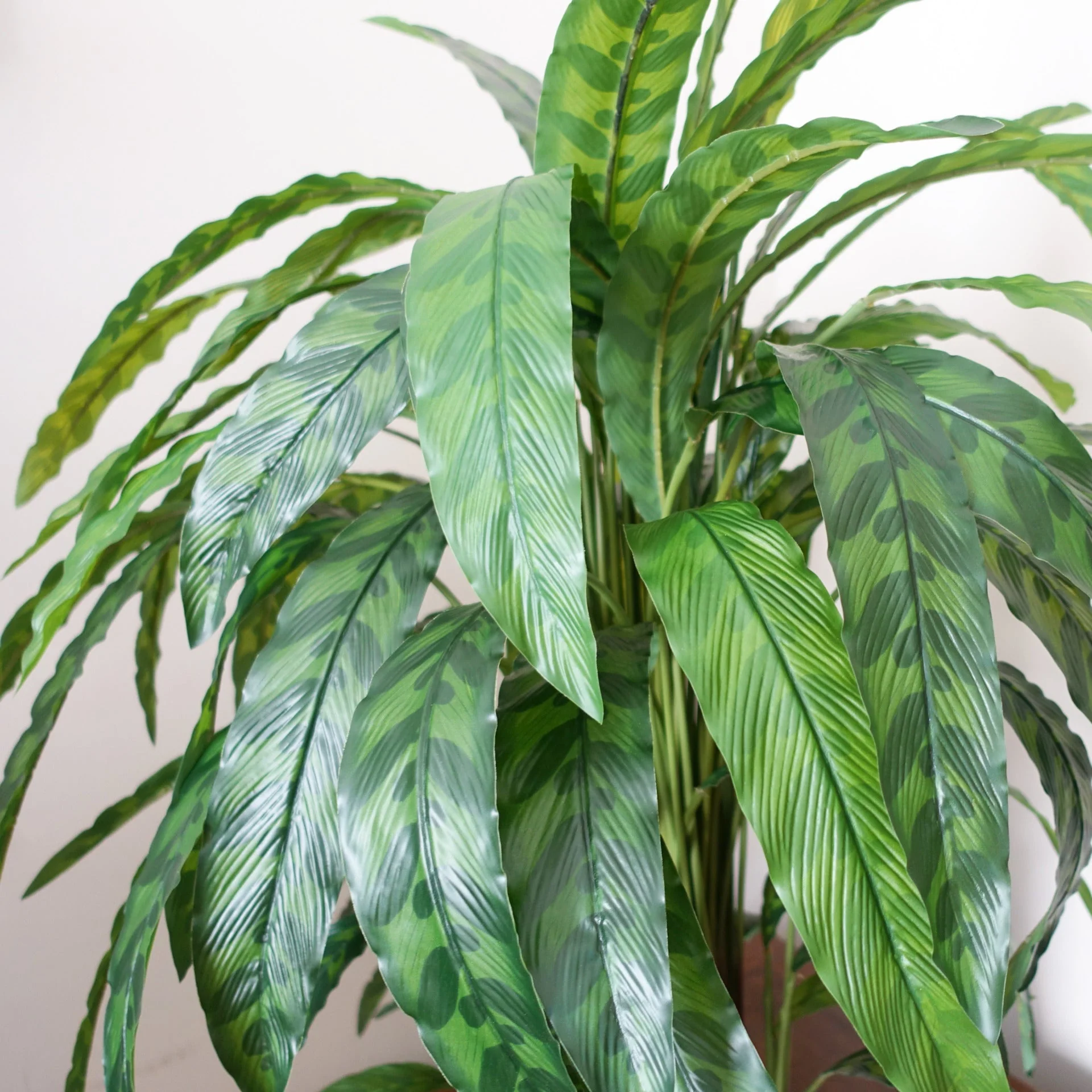 90cm Variegated Artificial Calathea Plant - Image 2