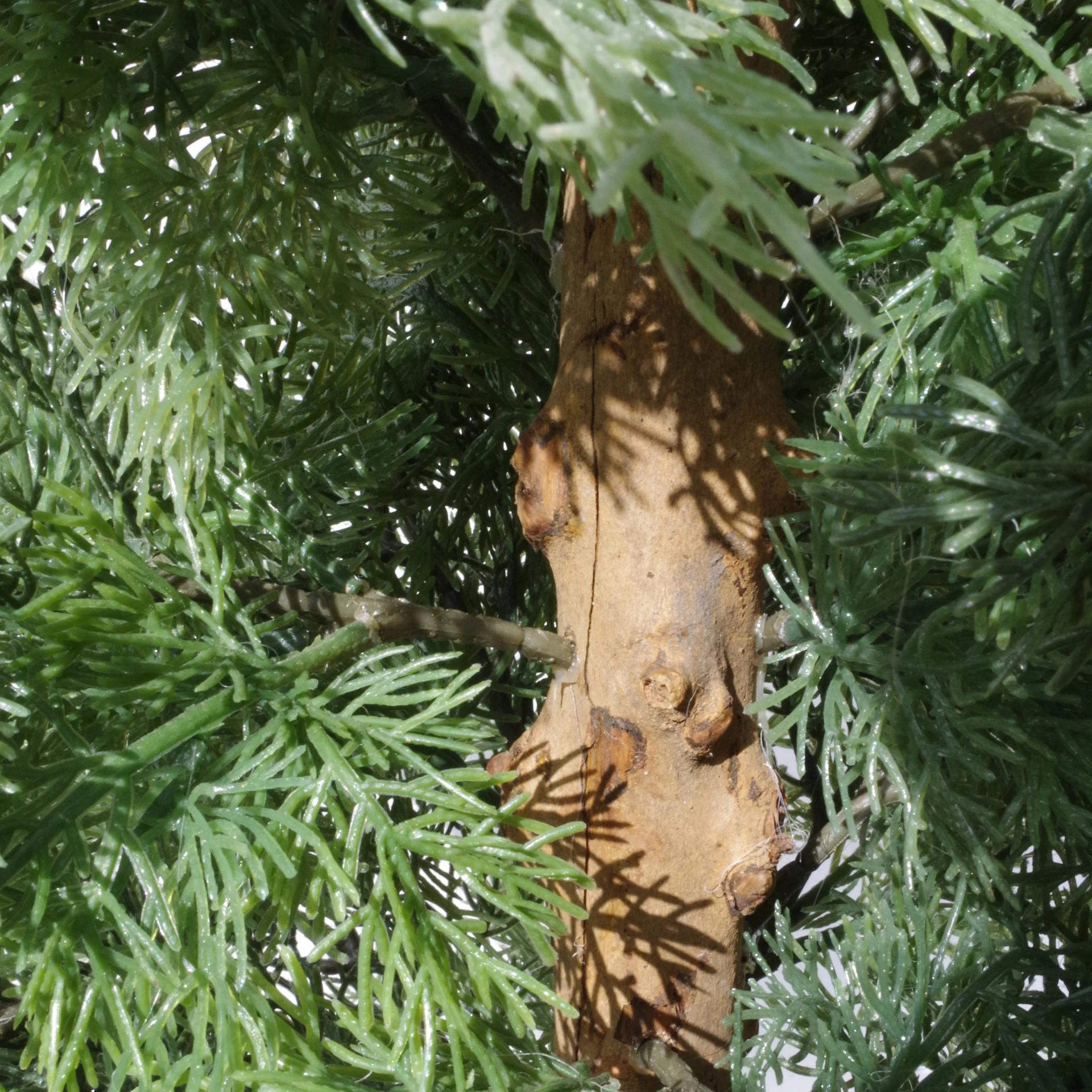 95cm Artificial Cedar Cypress Artificial Bushy Topiary Tree UV Protected - Image 3