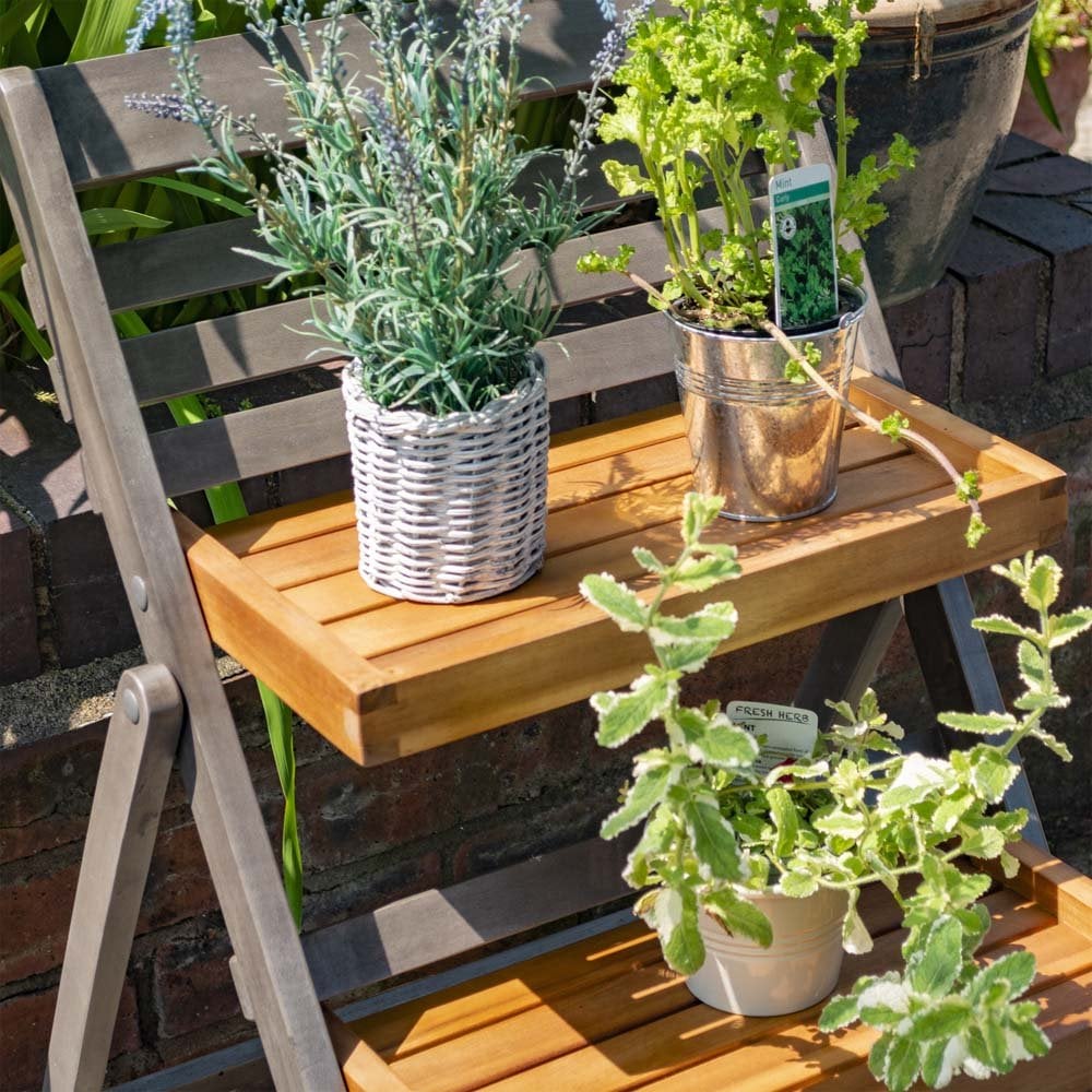 Alderley Hardwood Plant Ladder Small - Image 2