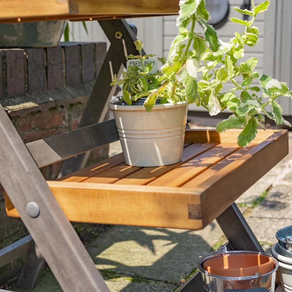 Alderley Hardwood Plant Ladder Small - Image 6