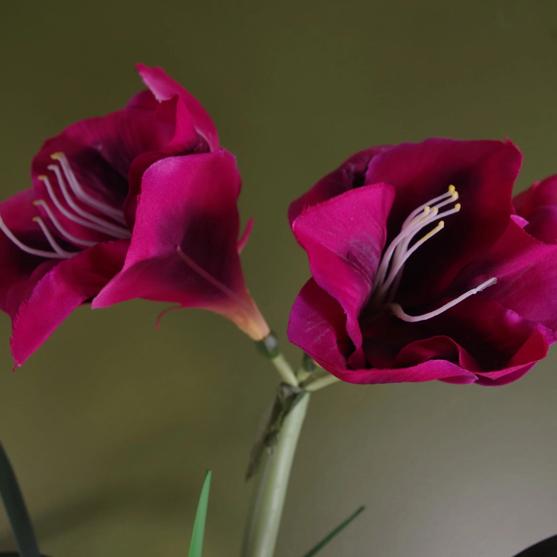 Artificial Amarylis Flowering Plant Pink - Image 2