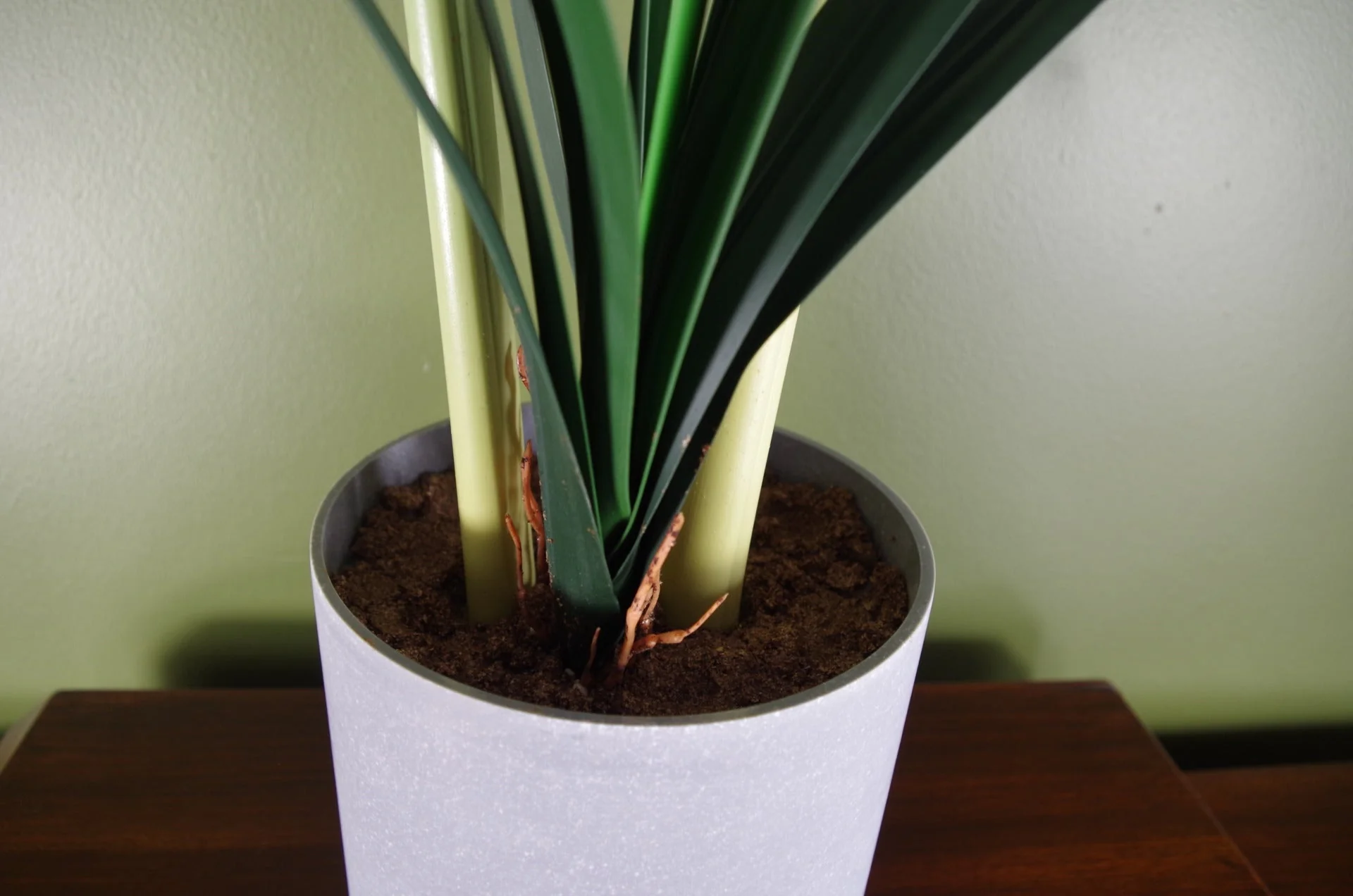 Artificial Amarylis Flowering Plant Pink - Image 3