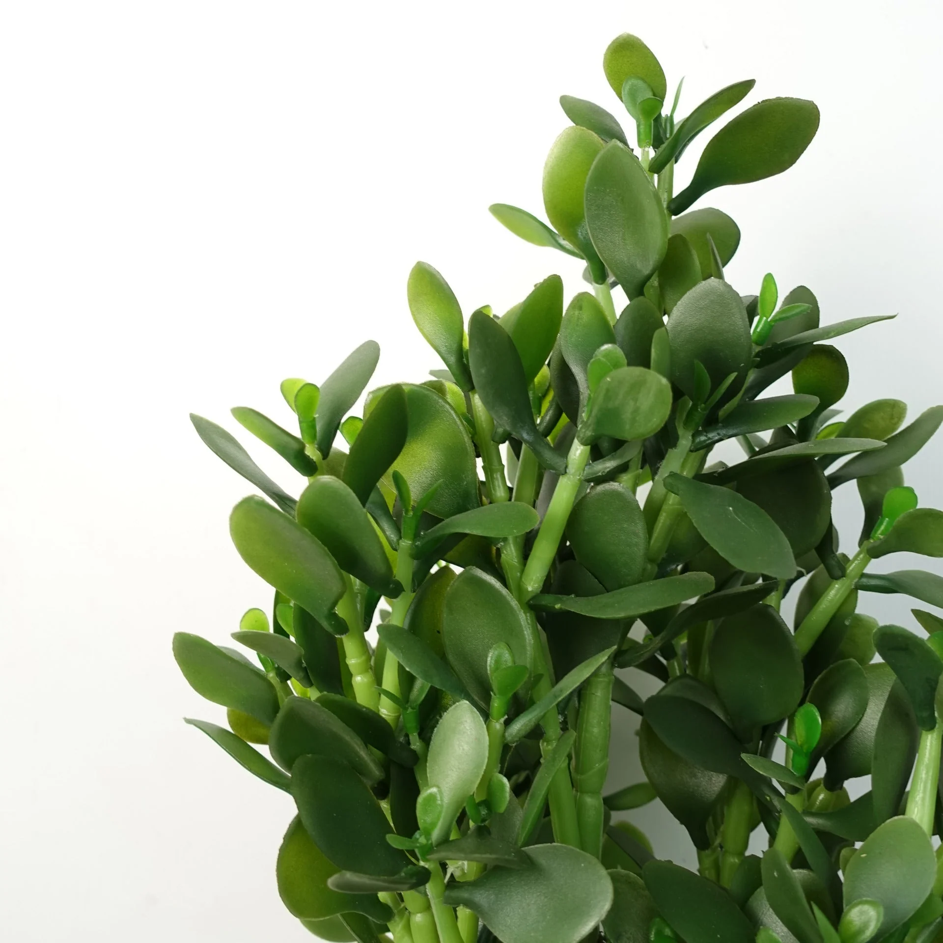 Artificial Deluxe 75cm Green Jade Plant - Image 3