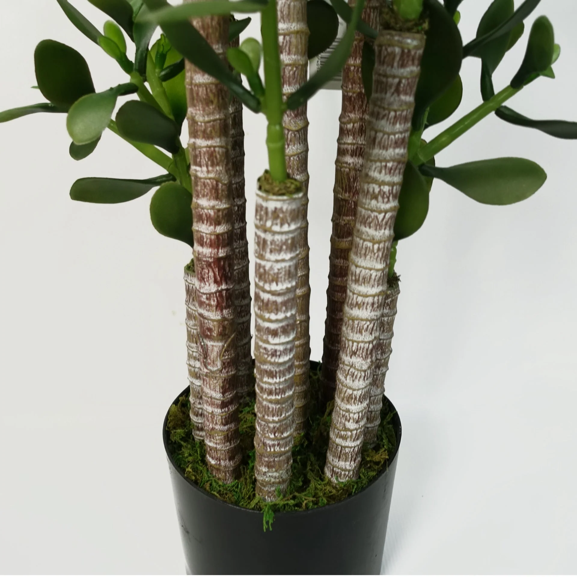 Artificial Deluxe 75cm Green Jade Plant - Image 4