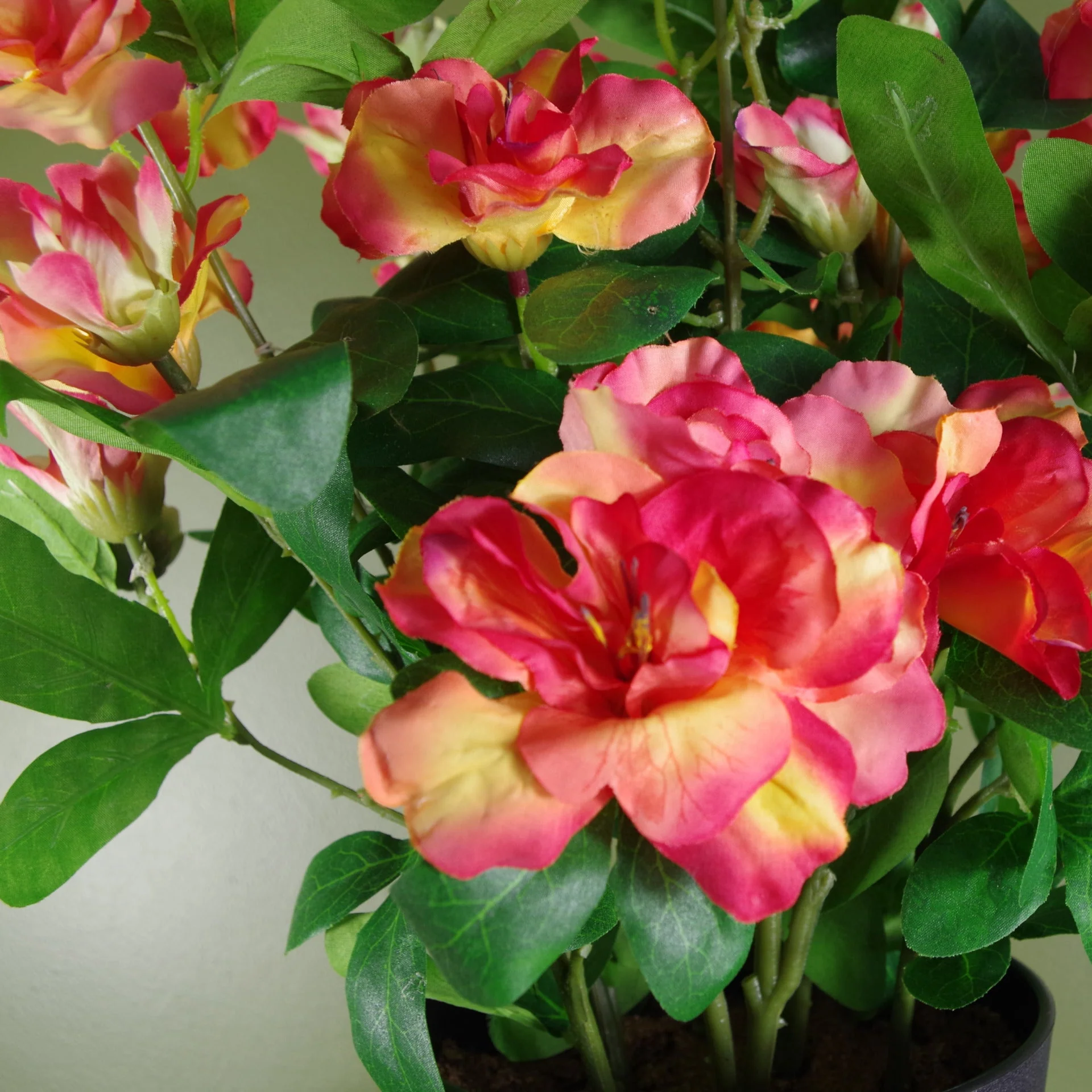 Artificial Rhododendron Flowering Plant Orange - Image 3