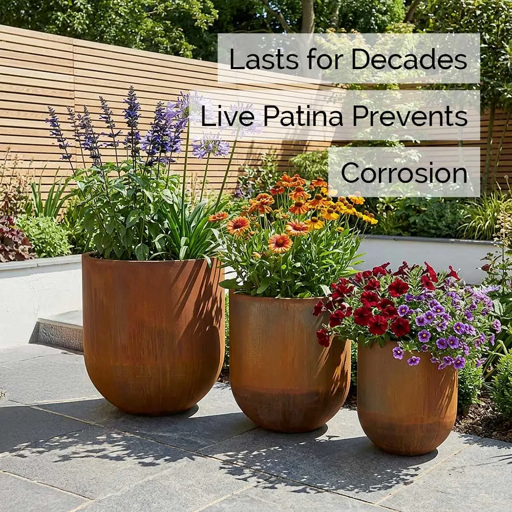 Corten Steel Large Cylinder Planter with Rounded Base - Image 15
