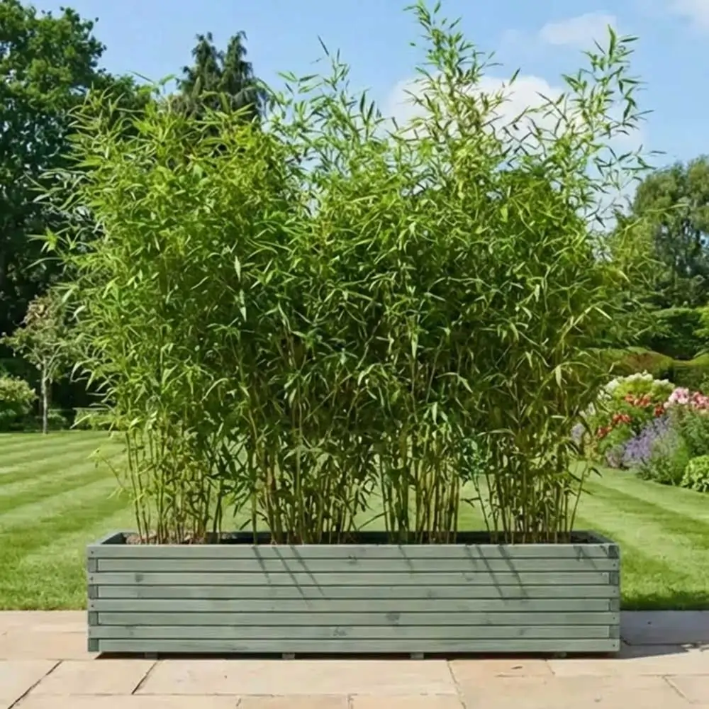 Pine Raised Wooden Trough Planter with Feet - Image 46