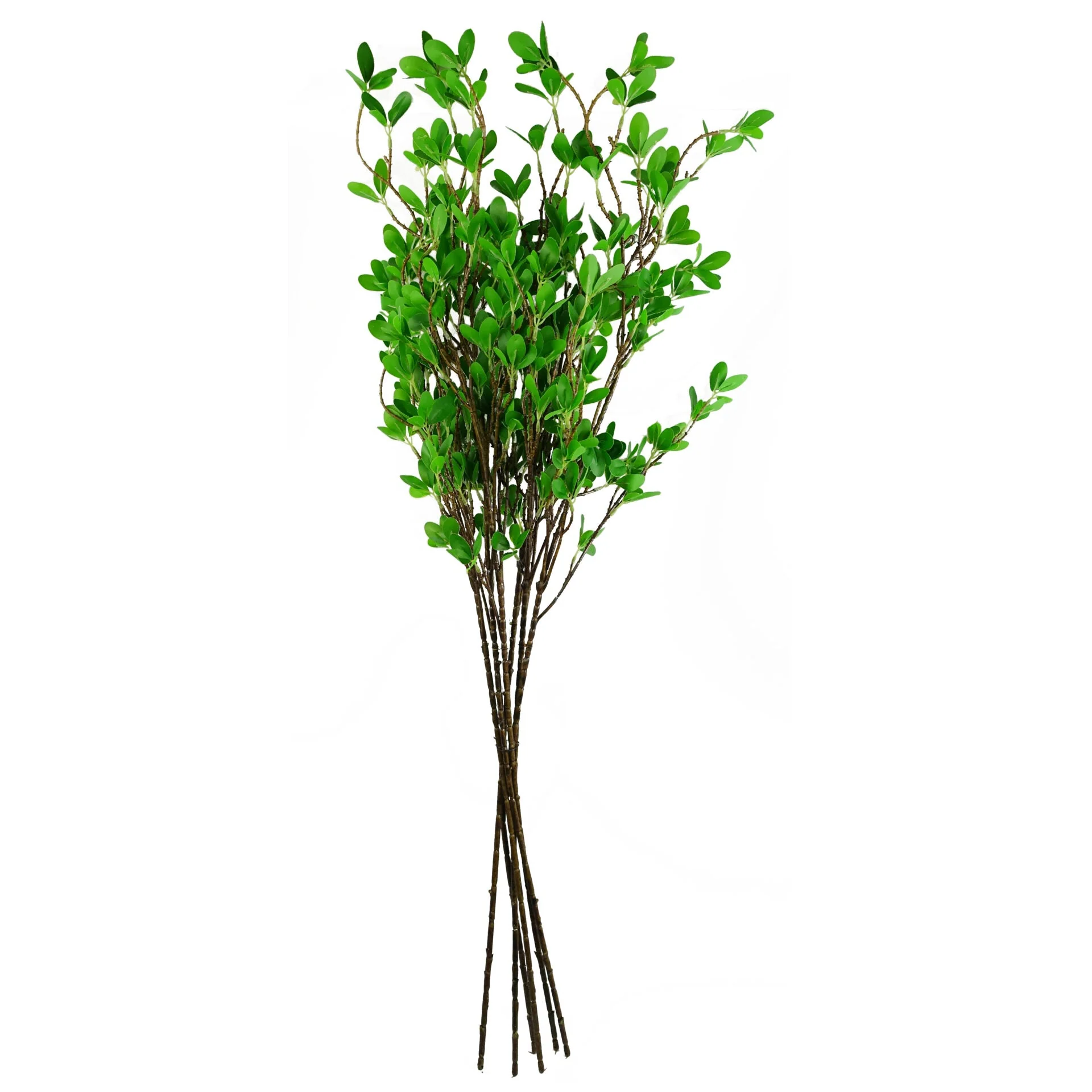 Pack of 6 x 100cm Mini Leaf Ficus Stem - Image 2