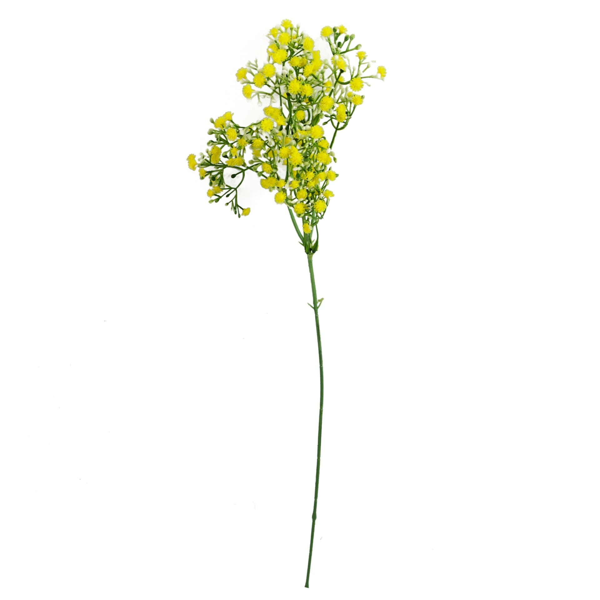 Pack of 6 x 55cm Gypsophila Yellow Stem - Image 3