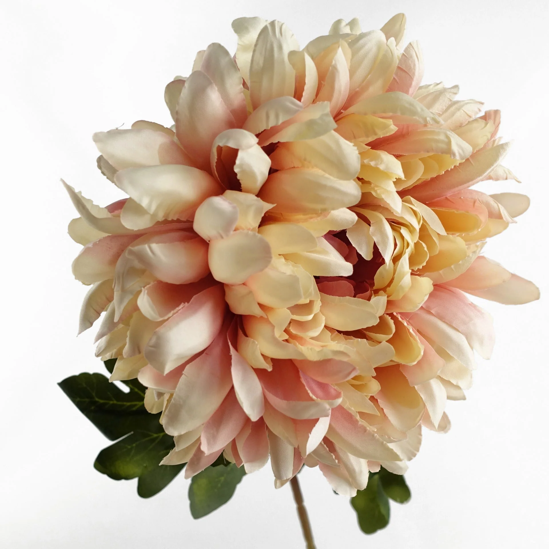 Pack of 6 x 75cm Extra Large Reflex Chrysanthemum - Pink - Image 4