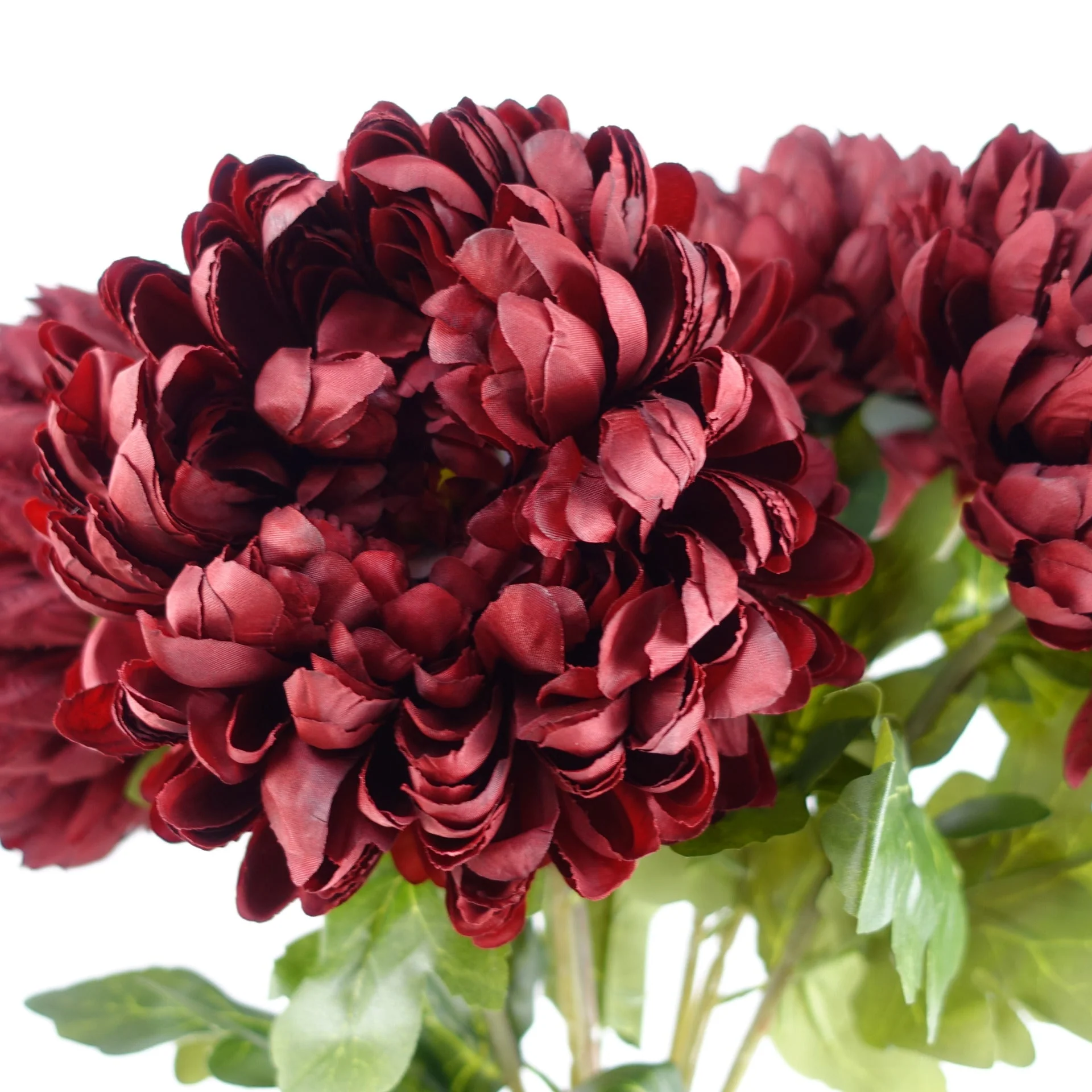 Pack of 6 x 75cm Extra Large Reflex Chrysanthemum - Red - Image 4