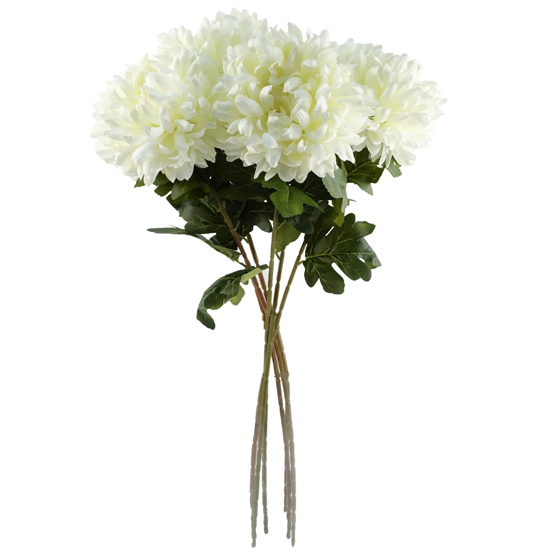 Pack of 6 x 75cm Extra Large Reflex Chrysanthemum - White - Image 3