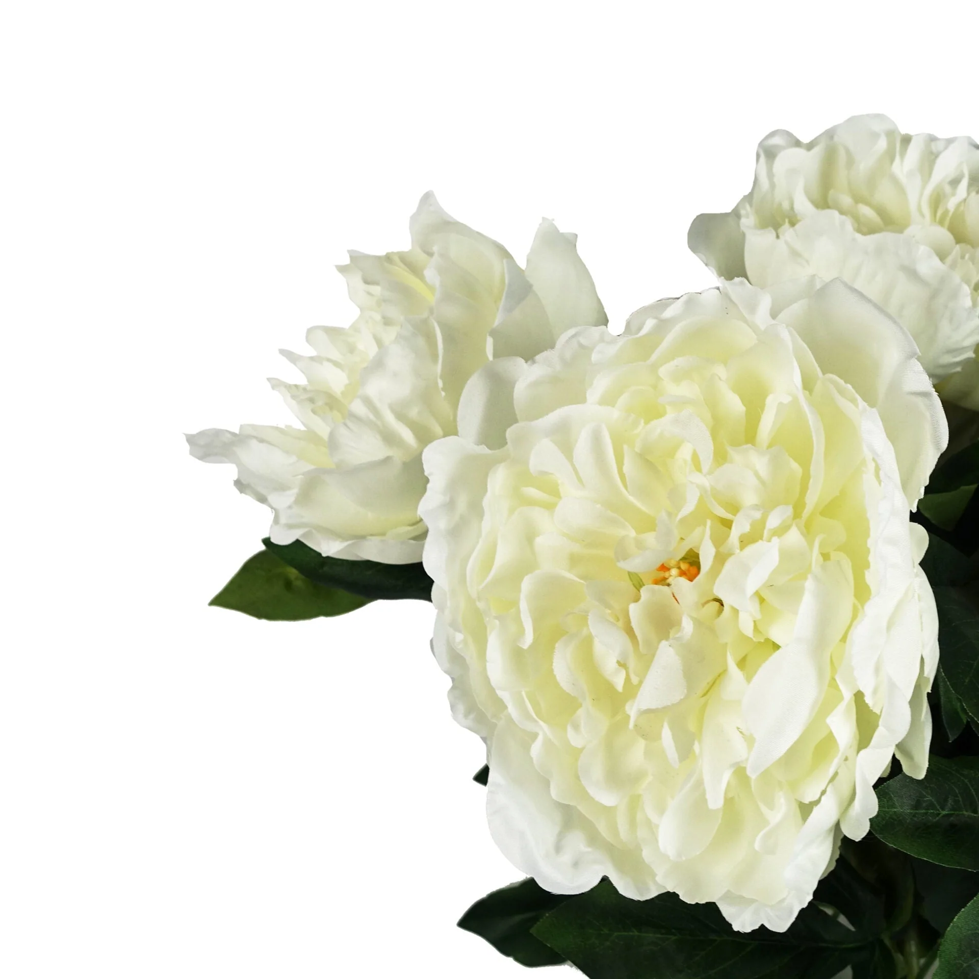 Pack of 6 x 80cm Artificial White Peony Stem - Image 2