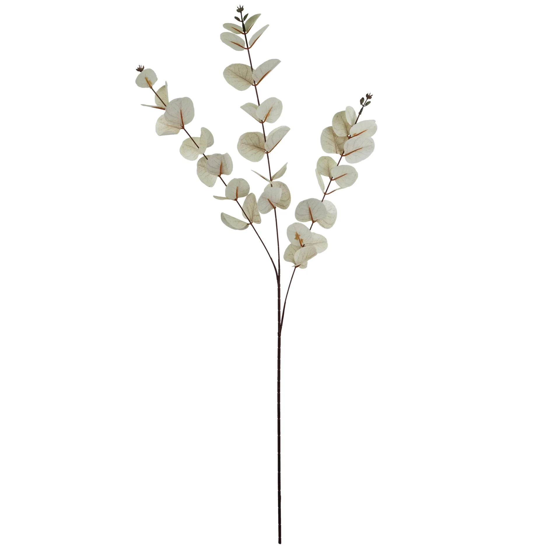 Pack of 6 x 80cm White Eucalyptus Foliage Stem - Image 3