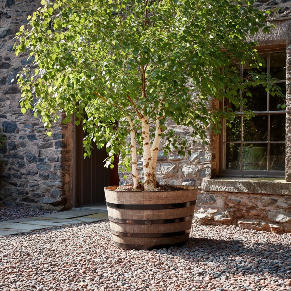 Rustic Oak Barrel Tree / Herb / Bedding Planter - Image 12