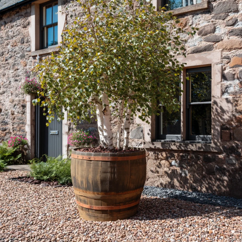 Rustic Oak Barrel Tree / Herb / Bedding Planter - Image 43