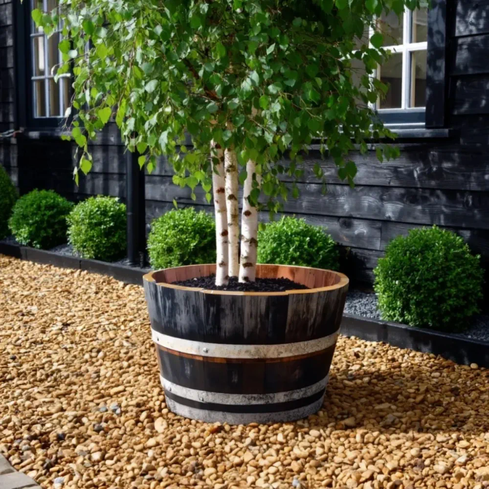 Rustic Oak Barrel Tree / Herb / Bedding Planter - Image 9