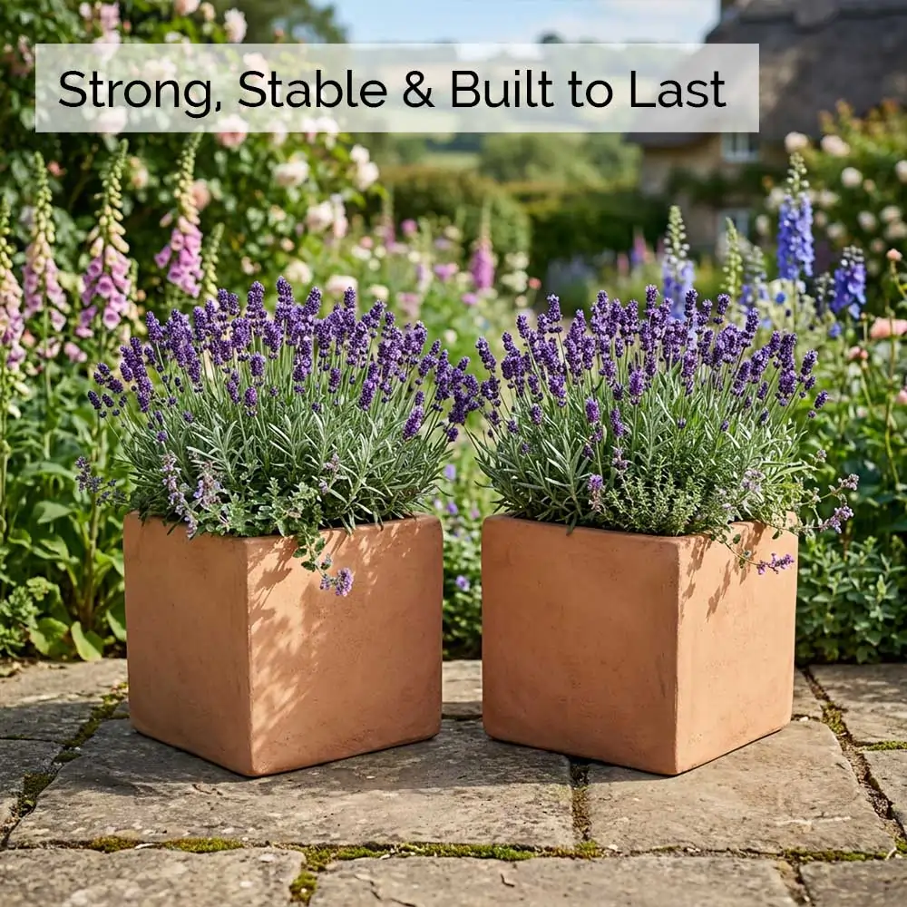 Rustic Terracotta Cube Plant Pot - Image 28