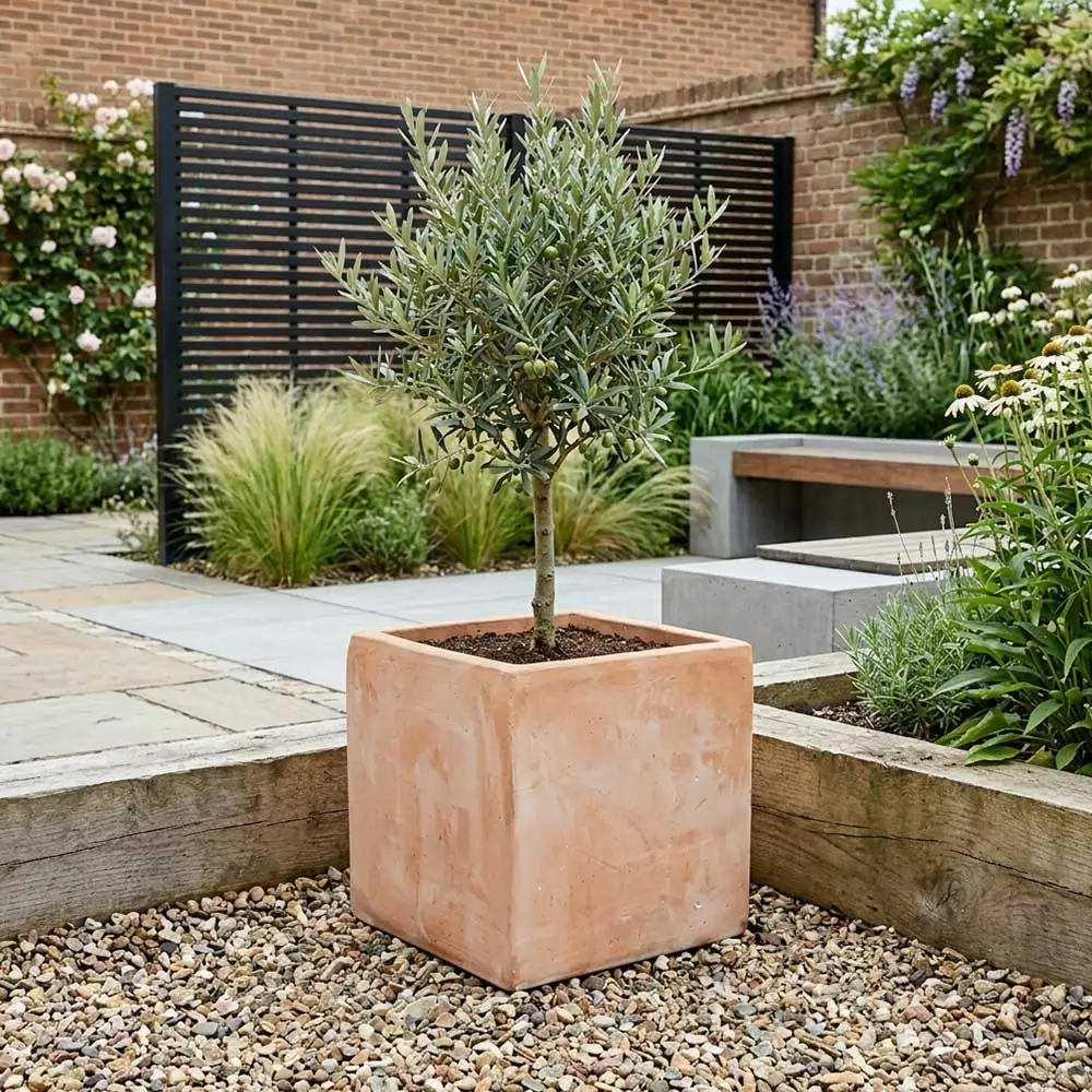 Rustic Terracotta Cube Plant Pot - Image 47