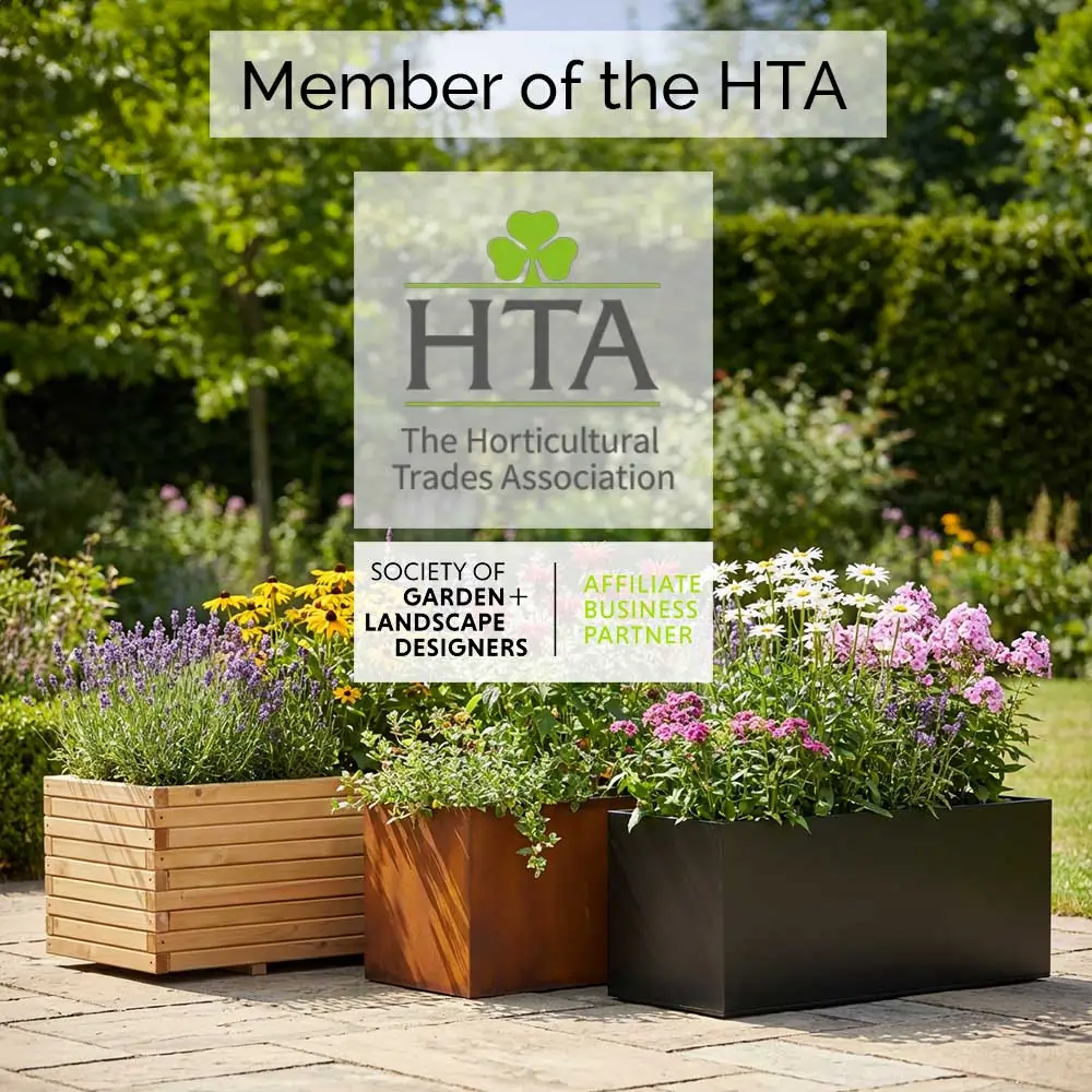 Stepover 'Cox's Orange Pippin' Apple Tree | Bare Root - Image 5