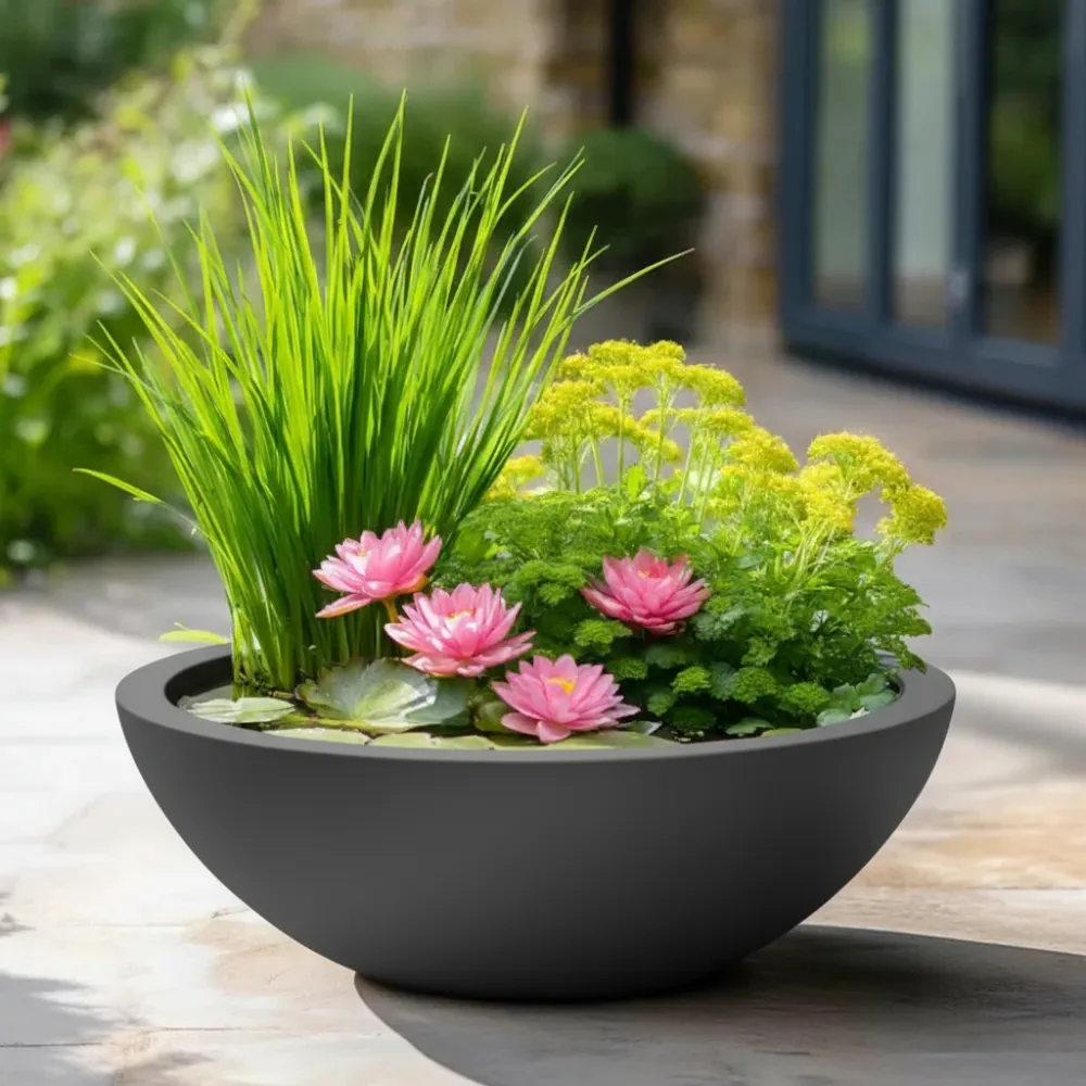 Wildlife Pond In A Pot | Complete Kit with Bowl, Plants & Fountain - Image 35
